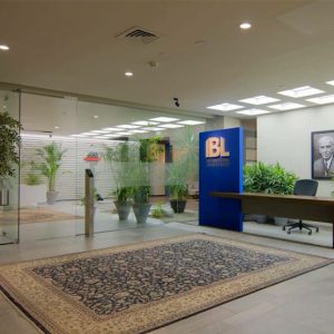 International Brands Limited